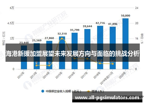 海港新援加盟展望未来发展方向与面临的挑战分析