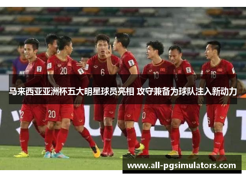马来西亚亚洲杯五大明星球员亮相 攻守兼备为球队注入新动力