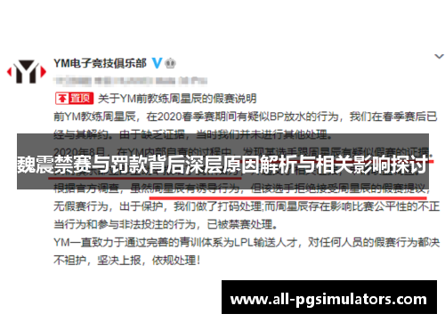 魏震禁赛与罚款背后深层原因解析与相关影响探讨