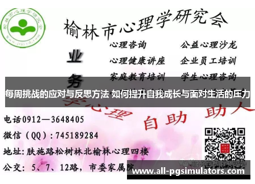 每周挑战的应对与反思方法 如何提升自我成长与面对生活的压力