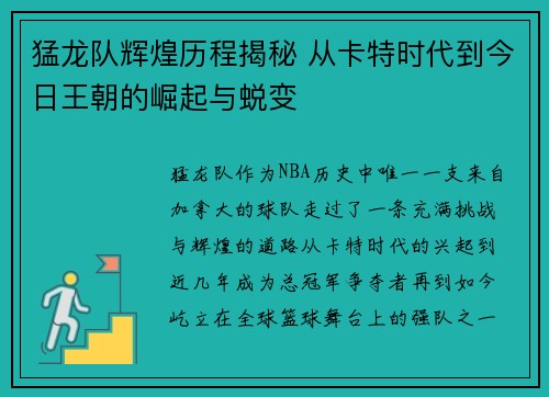 猛龙队辉煌历程揭秘 从卡特时代到今日王朝的崛起与蜕变